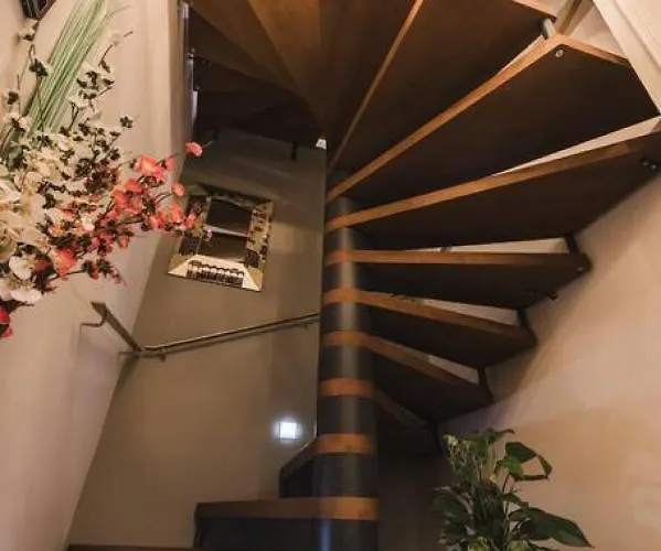 Zebbuga Deluxe Lavish 3